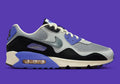 Nike Air Max 90 SP Patta Waves Sapphire
