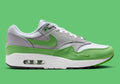 Air Max 1 Patta 20e anniversaire 