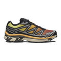Salomon XT-6 Black Grape Leaf Beach Ball